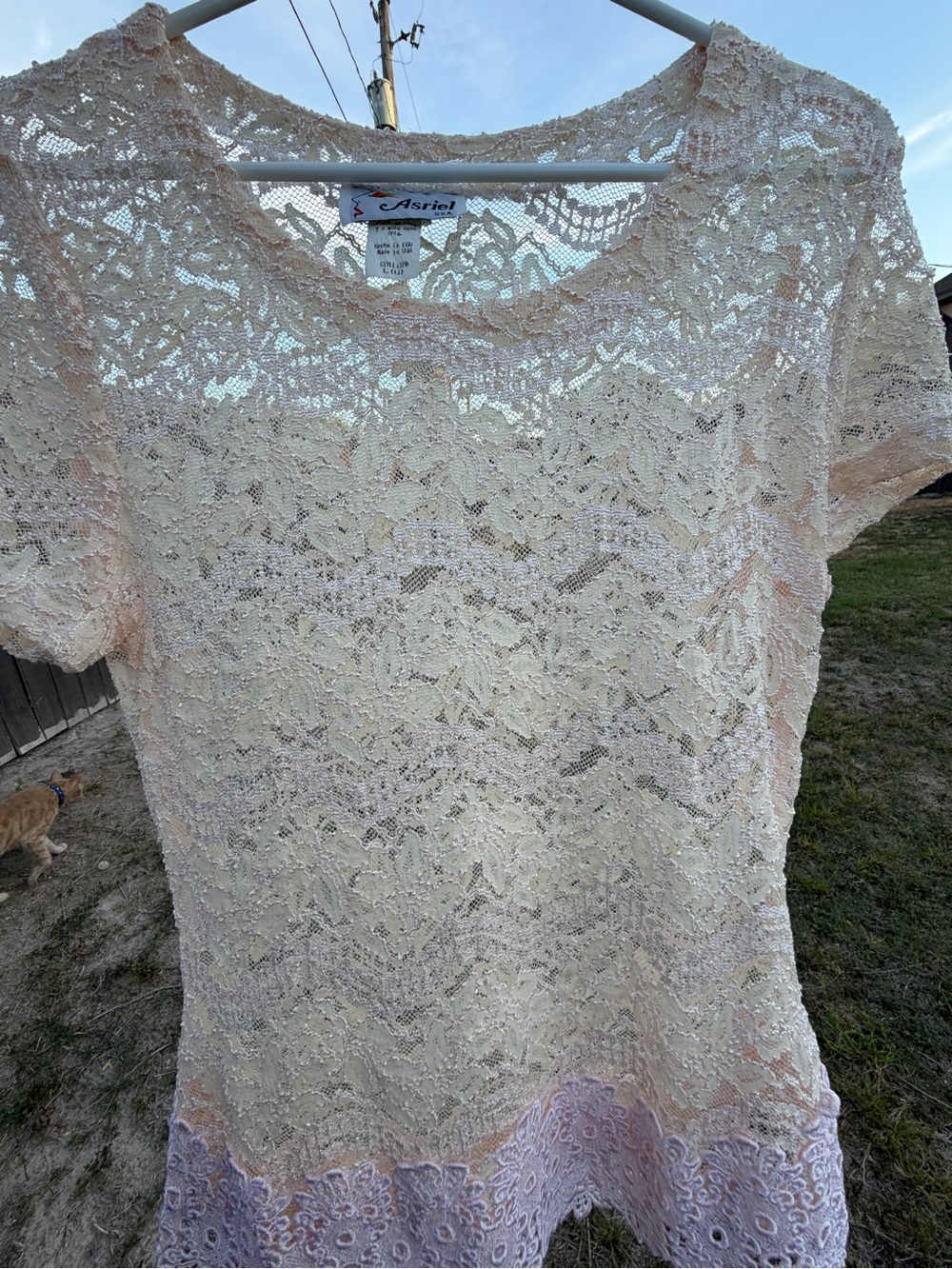 Vintage Asriel USA Lace Short Sleeve blush pink top